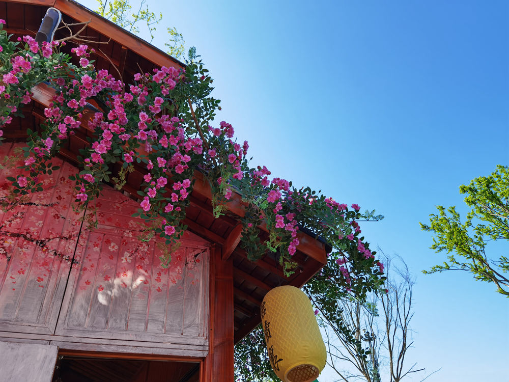 1690873703369693.jpg 1.jpg