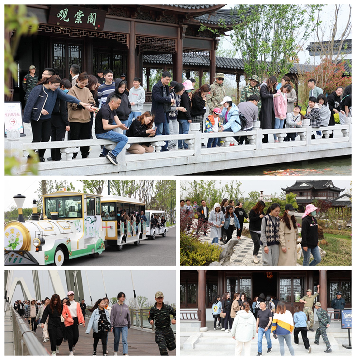 1690876561169689.jpg 6.jpg