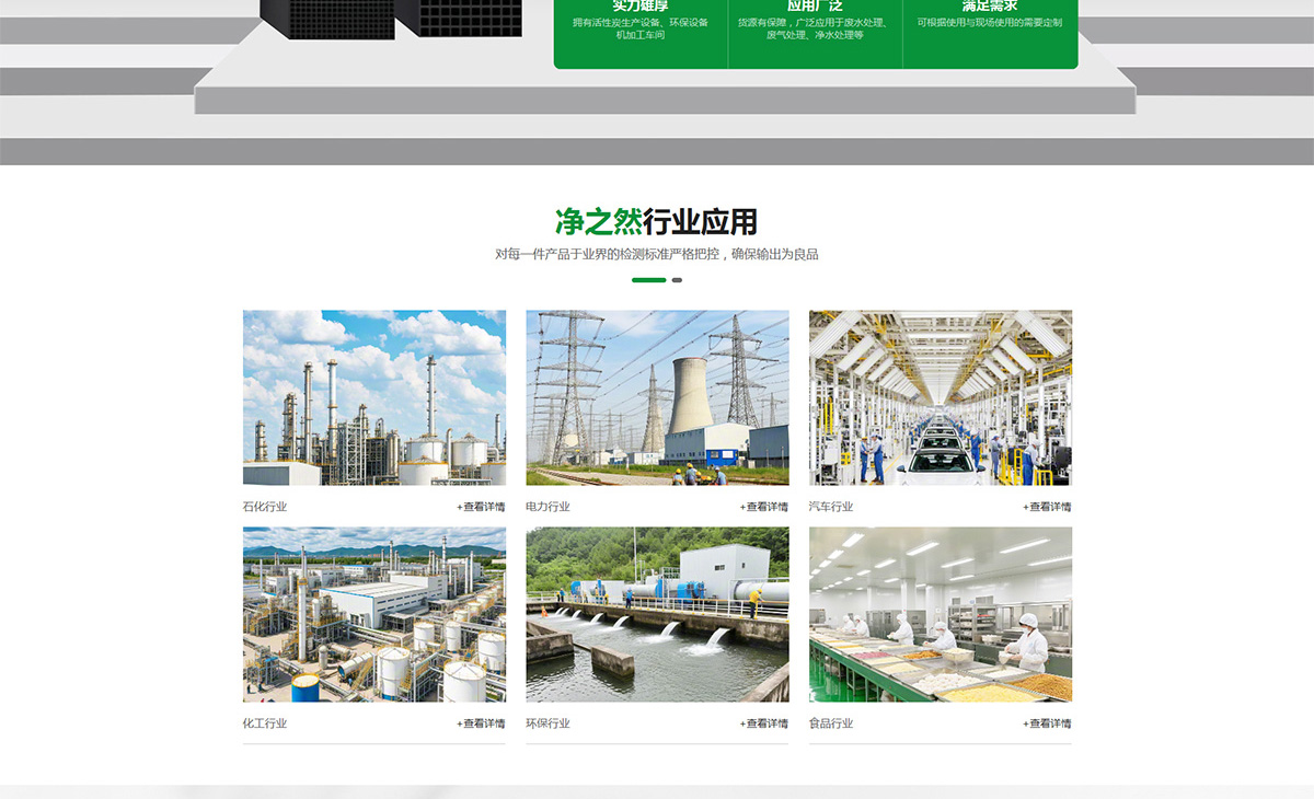 1741859574181378.jpg 常州凈之然活性炭有限公司2_04.jpg